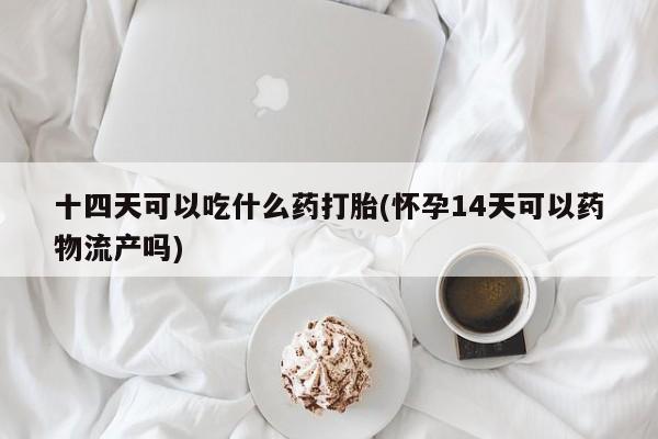 网上正品打胎药购买微信十四天可以吃什么药打胎(怀孕14天可以药物流产吗)